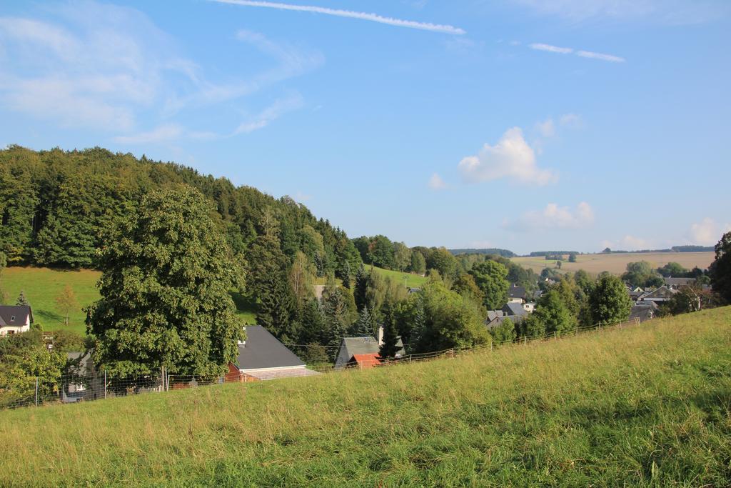 Ferienwohnung Am Kieferberg Hormersdorf  객실 사진