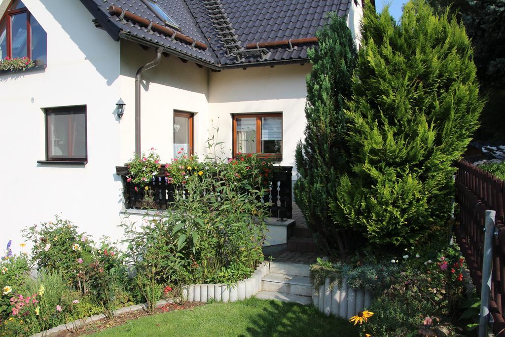 Ferienwohnung Am Kieferberg Hormersdorf  객실 사진